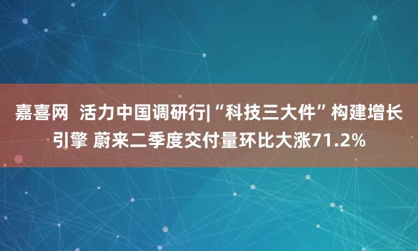 嘉喜网  活力中国调研行|“科技三大件”构建增长引擎 蔚来二季度交付量环比大涨71.2%